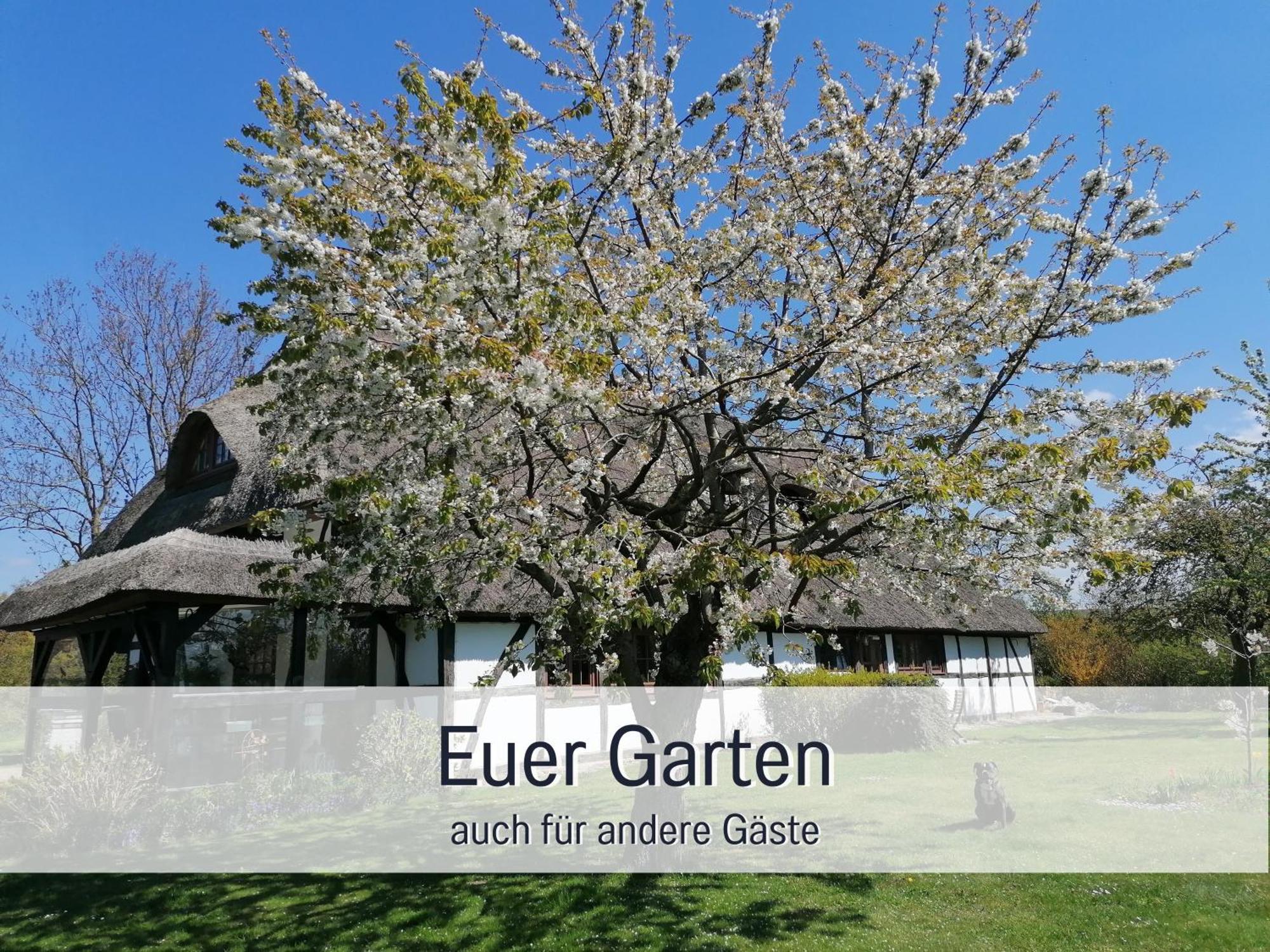 Appartement Reetmeer Ferienhaus, Und Ferienzimmer *